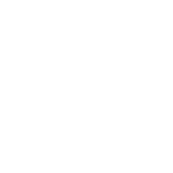 digital security icon white