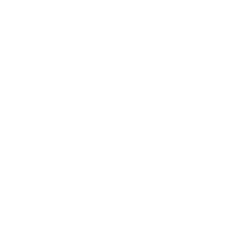 kampagnen sea icon white