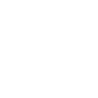 newsletter icon white